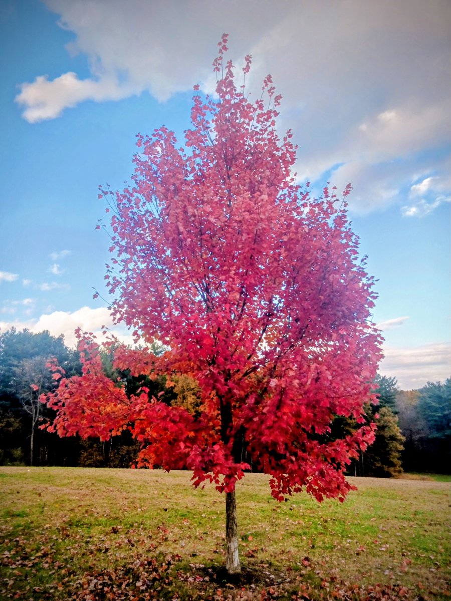 Good Morning X🌤💖🇺🇲🇺🇲 

Ephesians 3 : 20-21

Now to him who is able to do immeasurably more than all we ask or imagine, according to his power that is at work within us, 21 to him be glory in the church and in Christ Jesus throughout all generations, for ever and ever! Amen