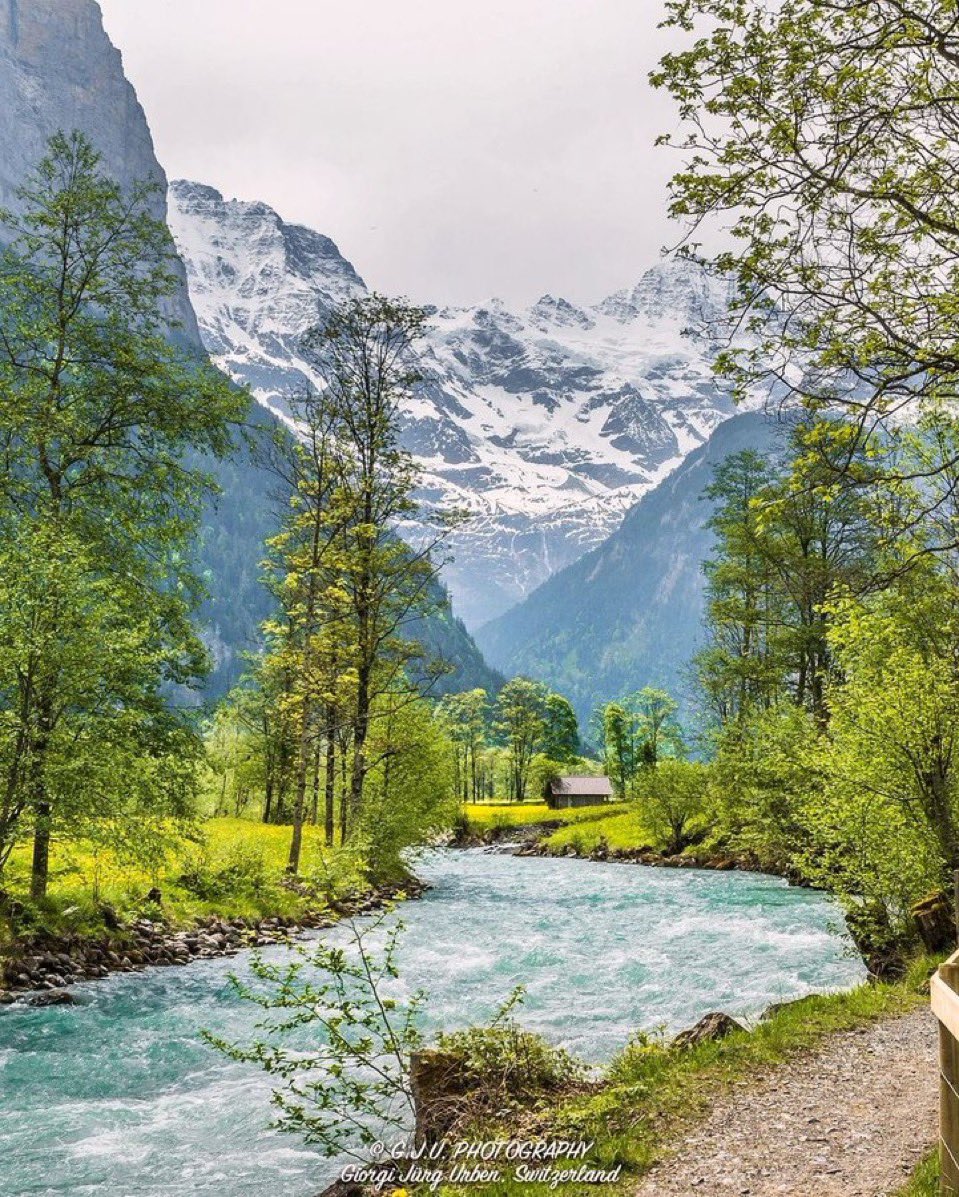 𝓡𝓩 𝓕𝓲𝓻𝓸𝓳 🇧🇩 tweet media