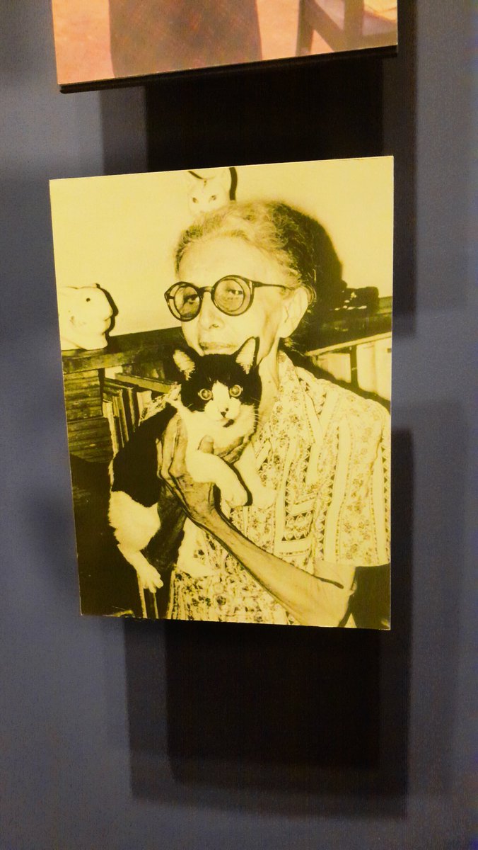 clarytx's tweet image. meu grupo do projeto de extensão na faculdade tá fazendo um trabalho para divulgar a visitação ao museu, tive o privilégio de fazer estágio em um dos caps dentro do Instituto e digo pra todo mundo ir visitar 

o projeto do Instituto com os gatinhos é o PATAA, uma fofura