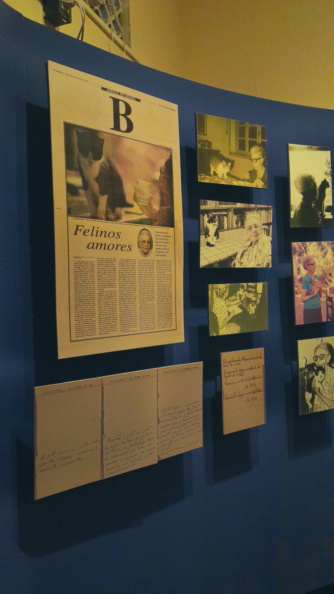 clarytx's tweet image. meu grupo do projeto de extensão na faculdade tá fazendo um trabalho para divulgar a visitação ao museu, tive o privilégio de fazer estágio em um dos caps dentro do Instituto e digo pra todo mundo ir visitar 

o projeto do Instituto com os gatinhos é o PATAA, uma fofura