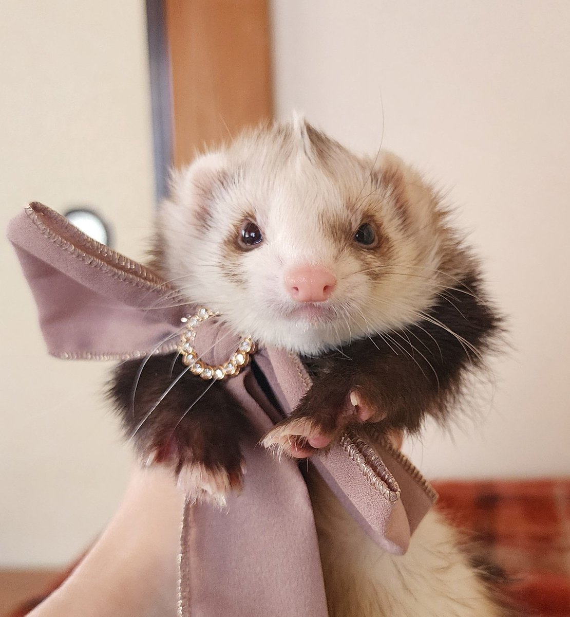 はるきち (@harunyan0309) / Posts / X