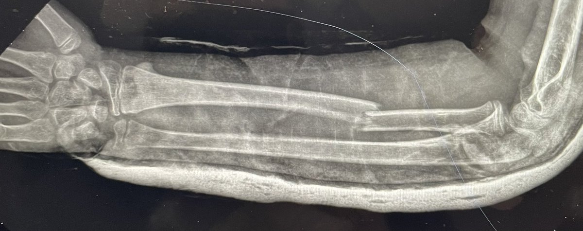 Delniotis Ioannis tweet media