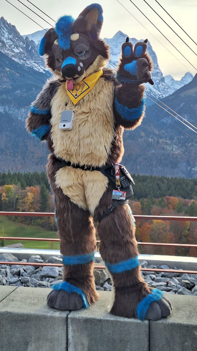 ChaChaFox - WhatChaLookingAt ? 🔜NFC,Faun,Furizon tweet media