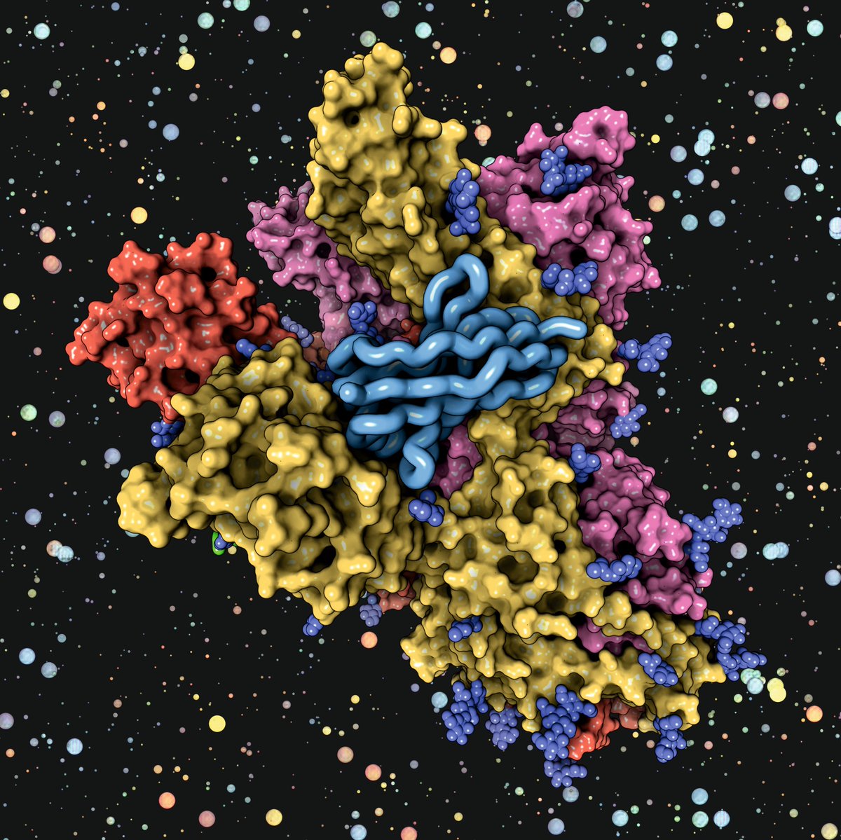Here you can see a cryoEM structure of the SARS-CoV-2 S 6P trimer complexed with a human neutralizing antibody Fab fragment (PDB code: 9BJ3)

Rendering by <a href="/fenguita/">Francisco J. Enguita</a> made with #ProteinImager

3dproteinimaging.com/protein-imager…

#SciArt #molecularart #sarscov2 #antibody #neutralizing #cryoem