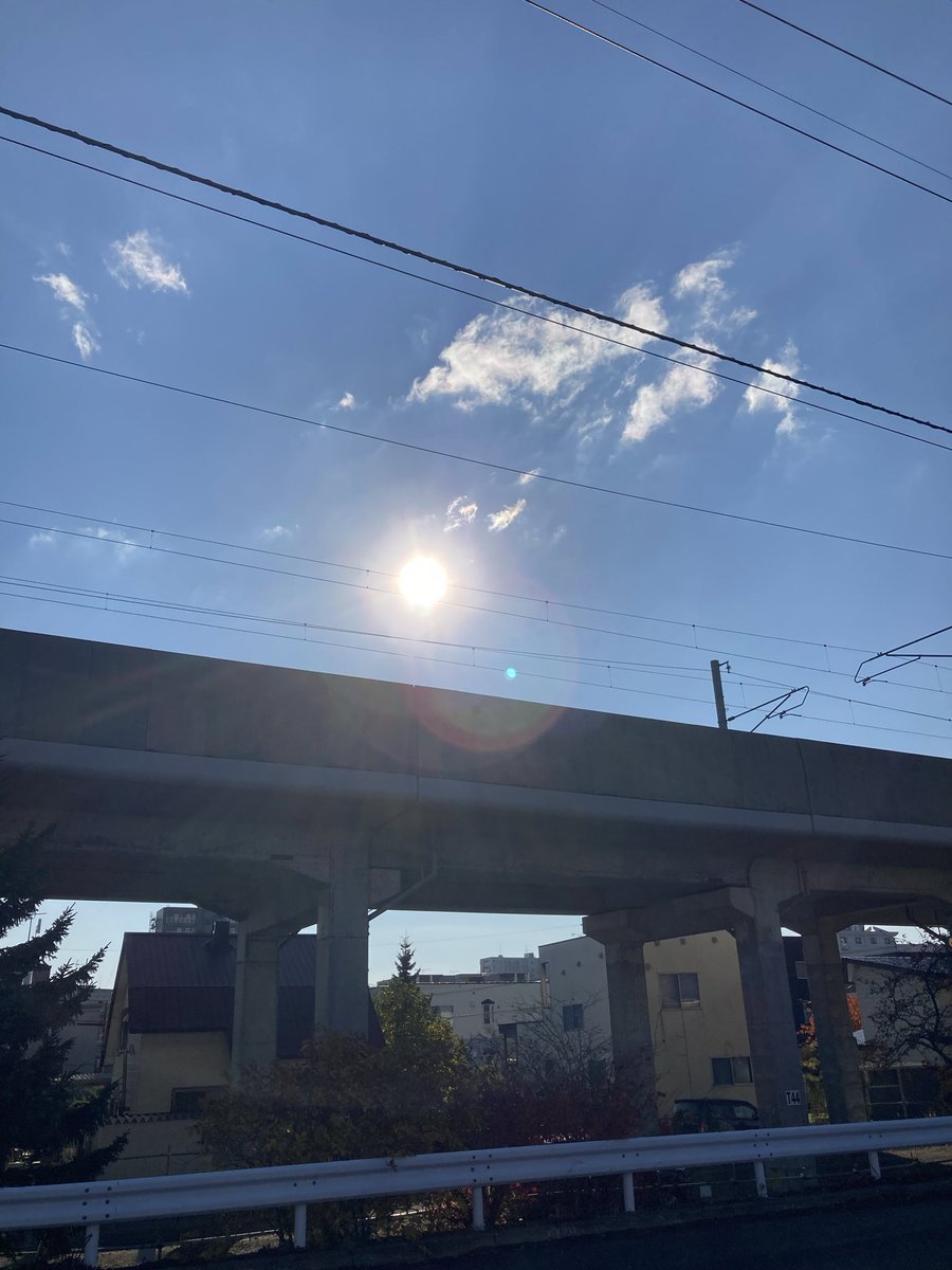 Good morning ☀️🕊️💕Afternoon 🍊
Evening 🍇 night ✨🦉