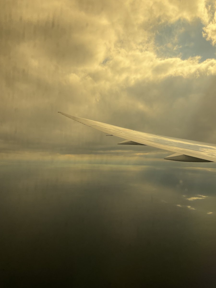 ごっさむ@ My funny Van allen 帯 on X