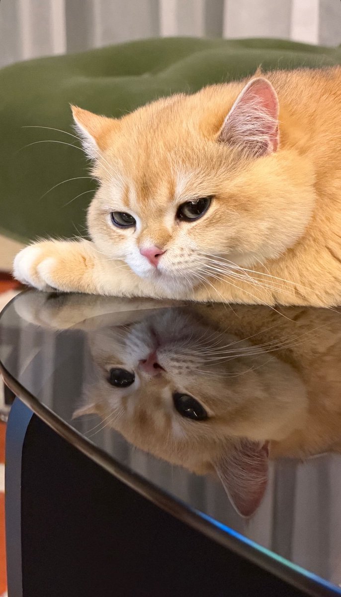 IGs update [04112025] เมี๊ยวววว

#BuildJakapan <a href="/JakeB4rever/">BIU.</a> 
#Beyourluve