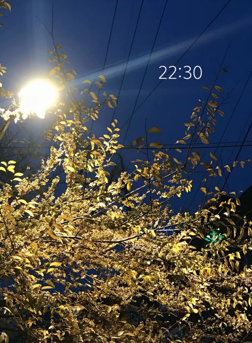 GlobalJunhyuk's tweet image. 251104 Junhyuk tiktok story update!

“22:30”

#이준혁 #LEEJUNHYUK #李埈赫
#폴라릭스 #POLARIX #イジュニョク 
@POLARIX1228