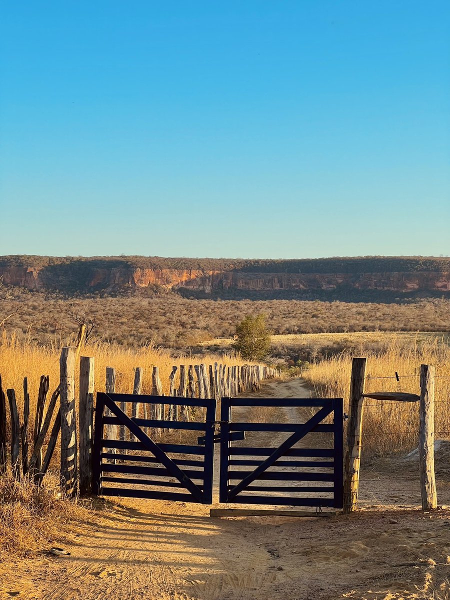 ameliorera's tweet image. tem tons de amarelo e laranja que só conheço por causa do Piauí