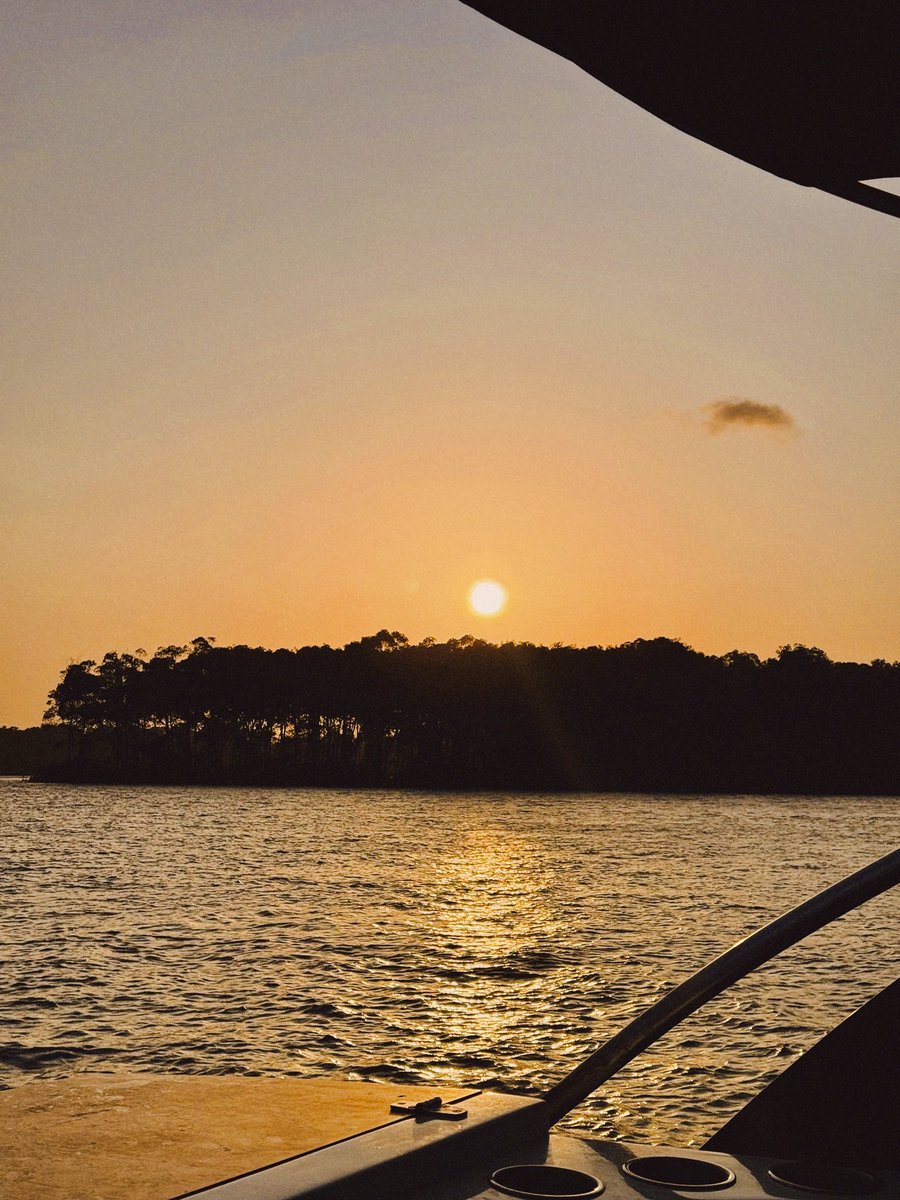 ameliorera's tweet image. tem tons de amarelo e laranja que só conheço por causa do Piauí