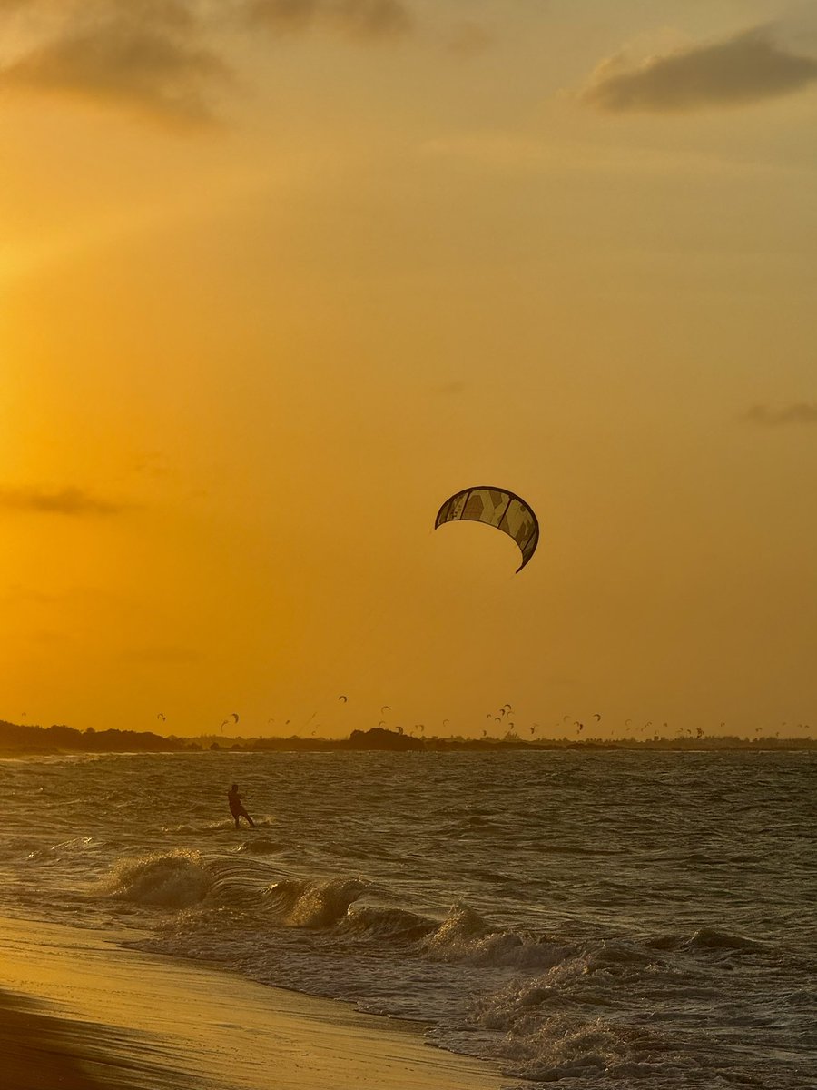 ameliorera's tweet image. tem tons de amarelo e laranja que só conheço por causa do Piauí
