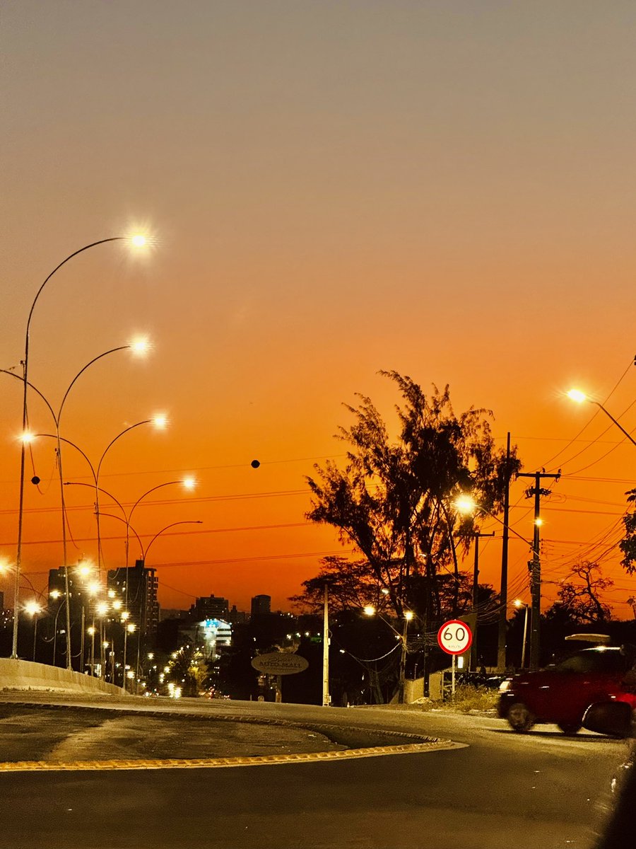 ameliorera's tweet image. tem tons de amarelo e laranja que só conheço por causa do Piauí