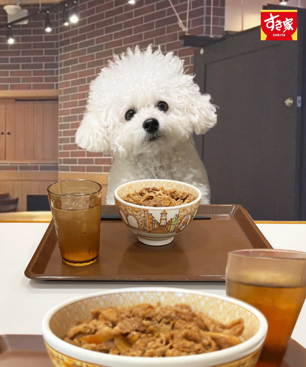 まさまさ (@M7Masamasamasa) / Posts / X