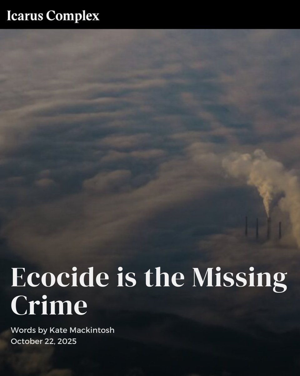 "There is a gaping hole at the heart of international criminal law"

In a new article, Professor <a href="/Katemackintosh2/">Katemackintosh</a> explains why #ecocide must urgently be criminalised at the <a href="/IntlCrimCourt/">Int'l Criminal Court</a>.

Full article: icaruscomplexmagazine.com/ecocide-is-the…

#StopEcocide