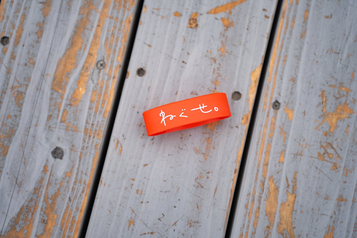 New Goods 】 ⚫︎ねぐせ。の証明写真Tシャツ ⚫︎ラバーバンド レッド