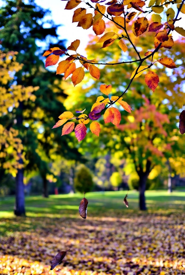 rish_Emi's tweet image. Grok Created my favourite Fall season