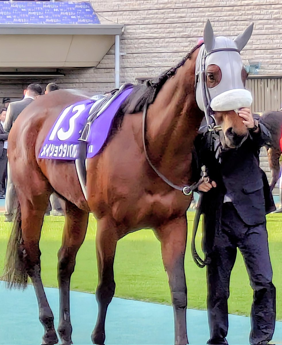 ゴールドシップ産駒