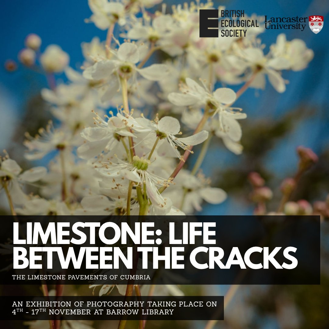 LimestonePP's tweet photo. The limestone pavement exhibit has moved on to Barrow library this week. The exhibit is small but contains some interesting content with audio from Professor Carly Stevens and Ezra Tattersall (PhD student) from Lancaster University and Scott Petrek from Cumbria Wildlife Trust. https://t.co/Id7lBiEgpD