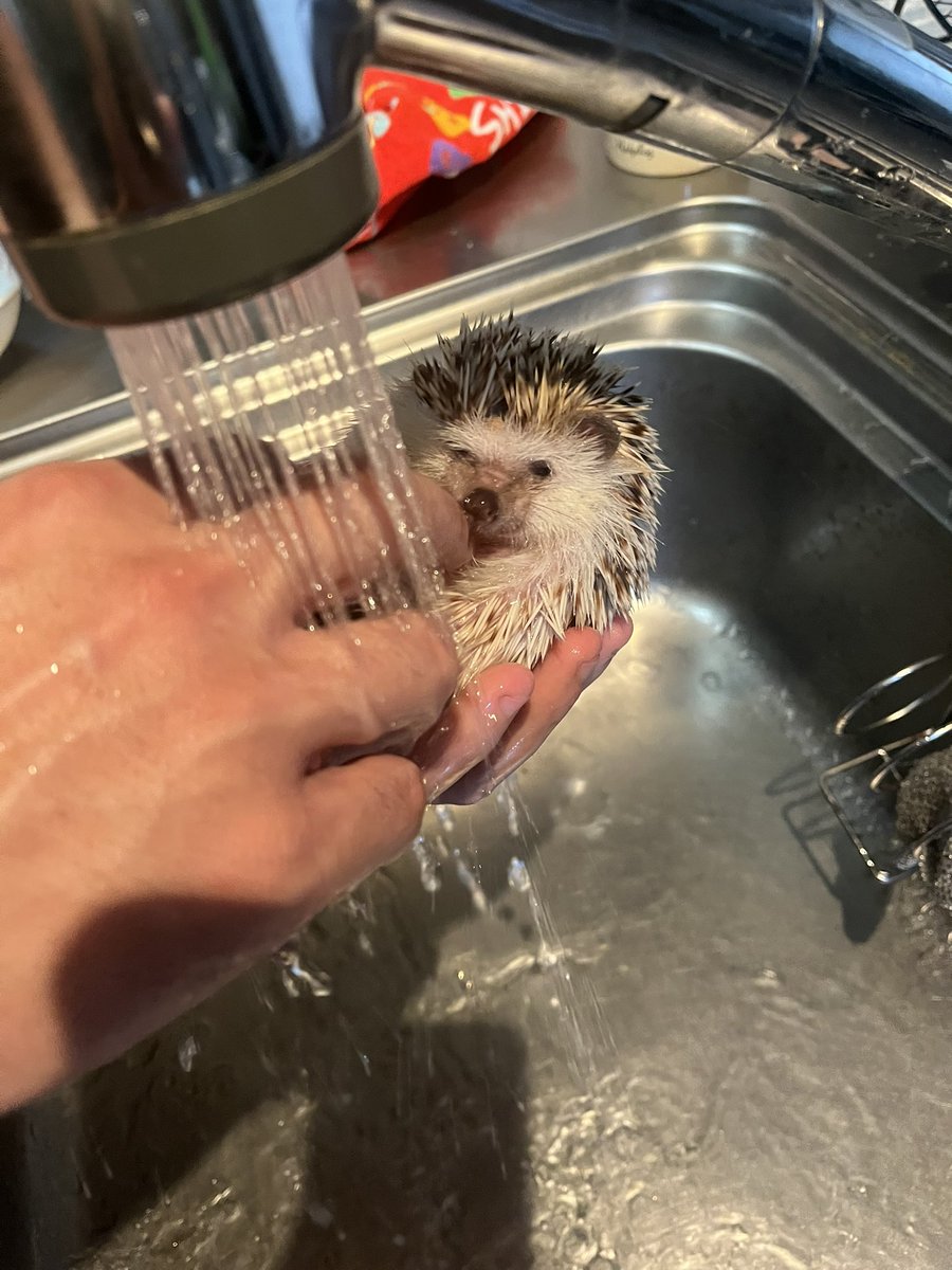 びーふぁみりー on X