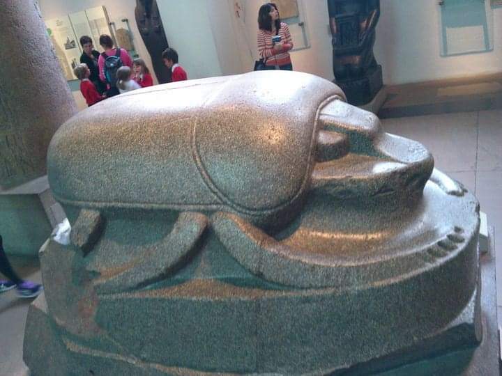 archeohistories's tweet photo. Giant sculpture of a scarab beetle, one of the largest representations of the scarab to survive until present. It is over 1.5m in length, and stands almost 1m tall. It probably dates from 332-330 BC.

The scarab represented Khepri, the form assumed by the sun-god at dawn. Egyptians noticed that scarabs hatch from buried dung-balls as if by self-creation. The sun-god was also believed to be self-creating, renewing his powers each night, before his rebirth at daybreak.

The statue is made of quartz diorite, a stone not normally used for Egyptian sculpture. Three ancient quarries have been identified as possible sources, deep in the Eastern Desert. 

Most likely, scarab was originally set up in the temple of Atum at Heliopolis. In Roman times, it was moved (probably in 1st  Century AD) to Alexandra and later to Constantinople (modern-day Istanbul, Türkiye).

British Museum

#archaeohistories