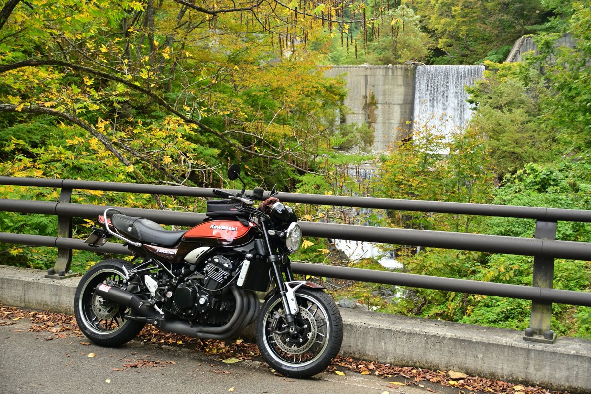 ココ&こじろー on X