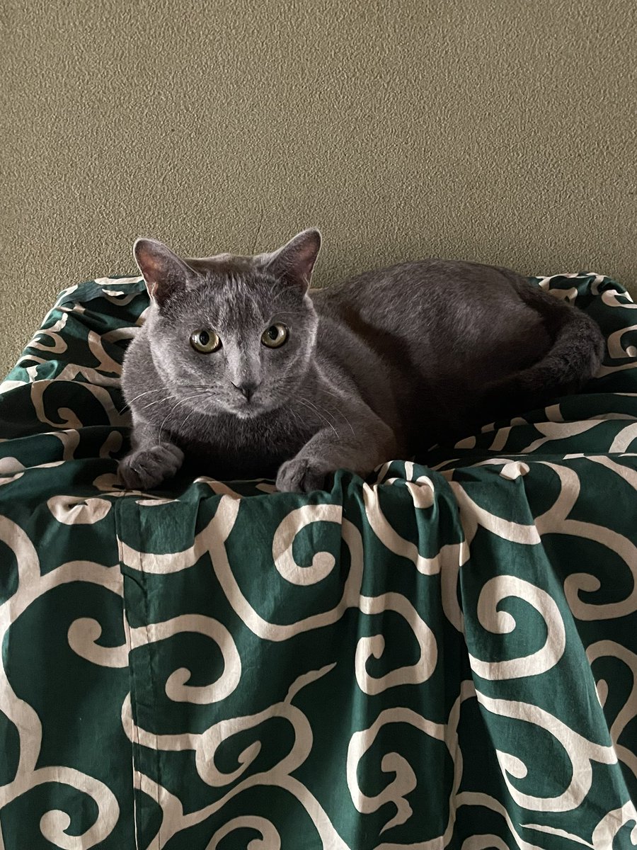 グラは和柄が似合わない😂