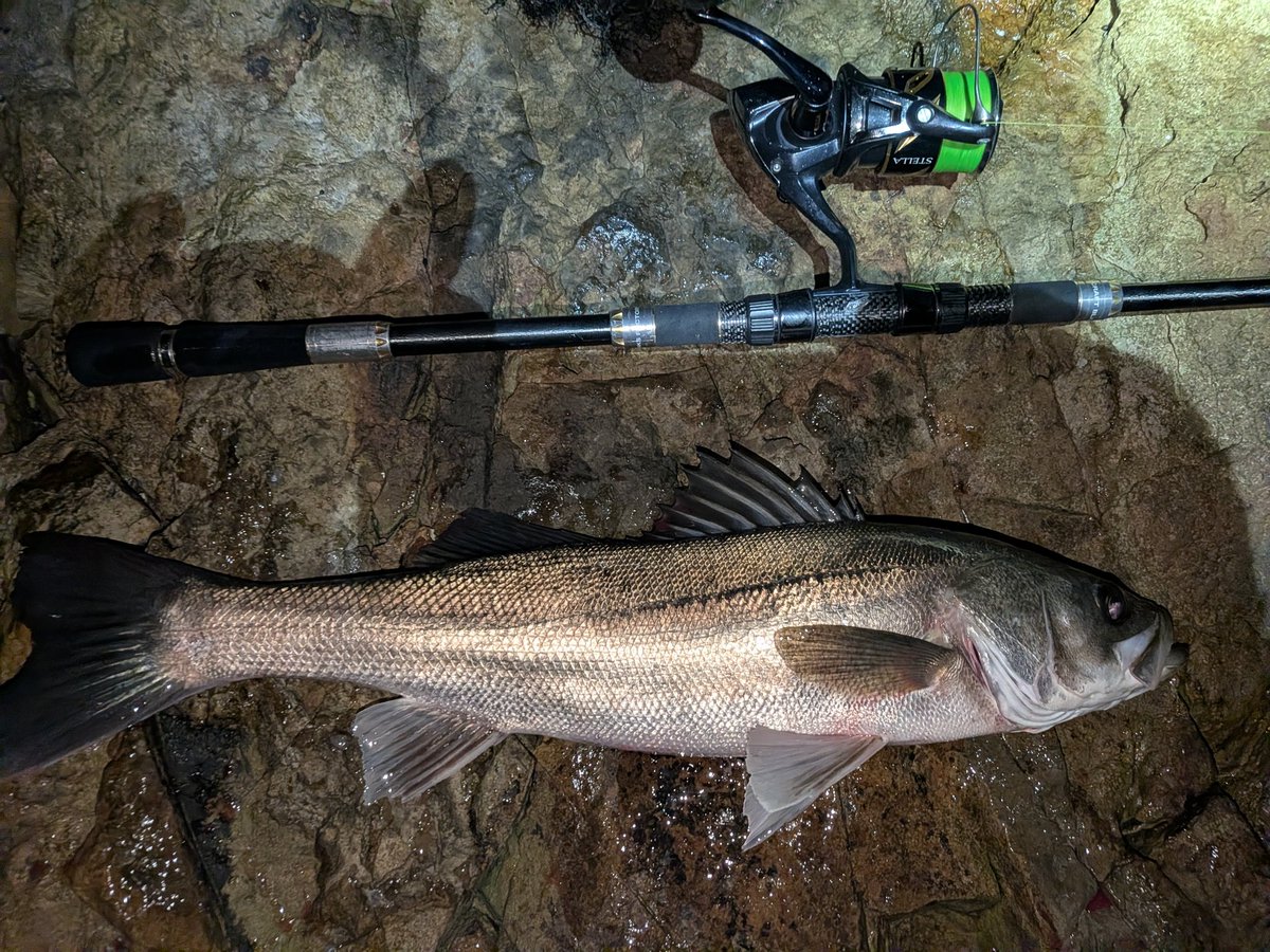 釣り物 俺釣り on X