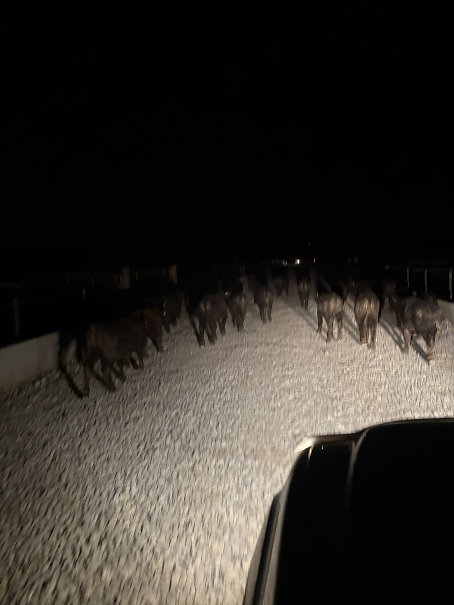 Derek Pohl tweet media