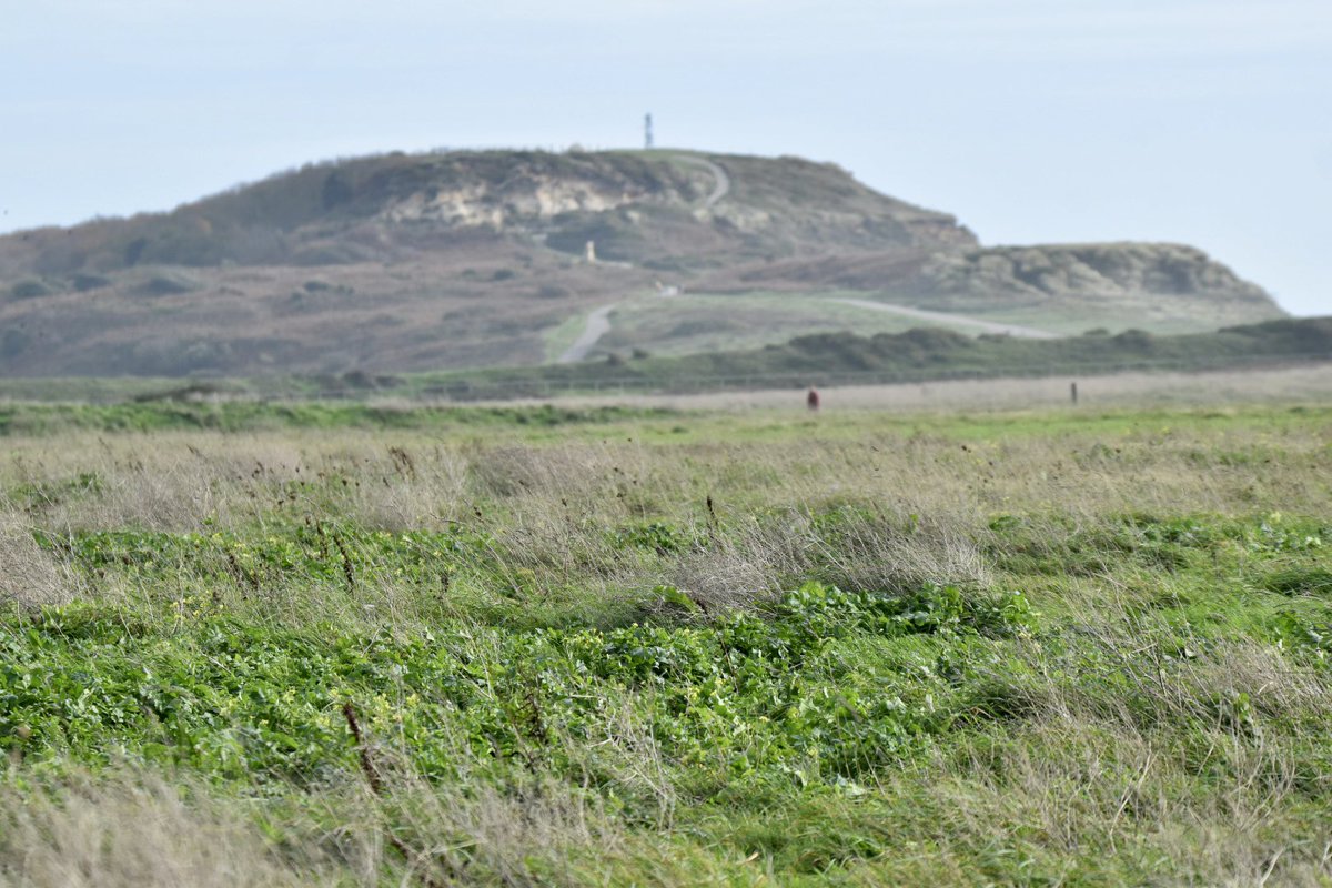 Hengistbury head in Dorset this afternoon #Landscapephotography