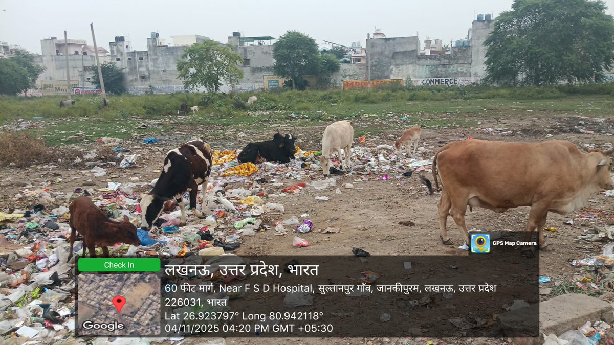 Lko_VivekSharma's tweet photo. ये आंखों को चुभने..किंतु..सांसों के लिए ज़हर भरा..अद्भुत नज़ारा है..😷.आओ और स्वयं महसूस कर ही लो..श्रीमान..@NGTribunal
जानकीपुरम विस्तार स्थित 60फीट रोड वार्ड जानकीपुरम प्रथम का है ये..इलाका..@LMC_Lucknow
जहां..जोन3 के जिम्मेदार कार्यदाई संस्थाओं #LSA द्वारा...गोबंशो और अन्य जानवरों हेतु.. कूड़ा-करकट खाने की कर रखी है..अतिसुंदर व्यवस्था..@WeAre_Re
संभव हो तो कृपया..इस इलाके का उद्धार कर ही दें..श्रीमान क्योंकि इस स्थान के पास ही स्कूल और अस्पताल भी है..@Sushma_Kharkwal @LucknowDivision @AdminLKO