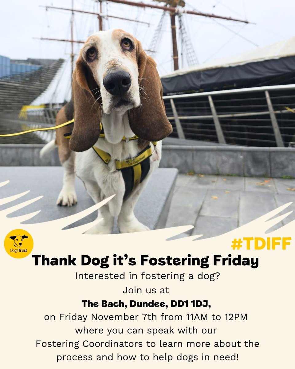 DT_WestCalder's tweet photo. 💛 Thank Dog It’s Fostering Friday is almost here! 💛

You may have seen that we are hosting our #TDIFF event here at Dogs Trust West Calder this week! We wanted to let you all know that our Dundee team are also hosing their very own #TDIFF event this Friday, 7th November, at The Bach Bistro, 31 Meadowside, Dundee, between 11am and 12pm! Pop along if you are in the Dundee area for a relaxed chat about all things fostering ☕🐶

Our team will be there to talk about what fostering involves, the support we offer, and how you can help give dogs a loving home while they wait for their forever families.

Misty, our lovely mascot, has been exploring Dundee to spread the word and she couldn’t resist stopping for a photo on her latest walkabout! 👋🐾

If you see us out and about this week, come say hello and find out how you could make a difference for dogs like Misty.

@thebachbistro @dogstrust
#TDIFF #DogsTrustDundee #FosteringMatters #ADogIsForLife #FosterADog #DogsTrust
