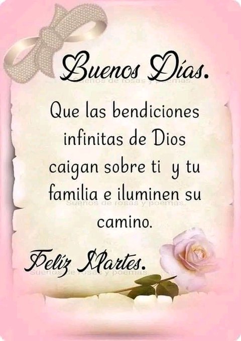 Pink background with beige bow at top and bottom, central beige scroll-like text in cursive and block fonts reading Buenos dias, Que las bendiciones infinitas de Dios caigan sobre ti y tu familia e iluminen su camino, Feliz Xmas, pink rose with green stem at bottom right.