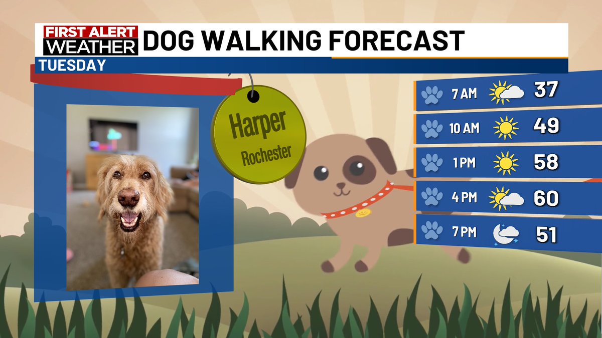 KTTC First Alert Weather tweet media