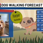 Photo by KTTC First Alert Weather (@KTTCWeather)