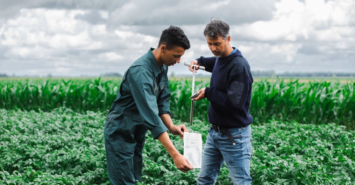 De subsidieregeling Samenwerken aan innovatie (EIP) is open! Heb jij een goed idee om de landbouw in Drenthe, Friesland of Groningen duurzamer te maken? Dien je plan in samen met minstens één landbouwer. Meer info:👉snn.nl/zakelijke-subs… #innovatie #landbouw #duurzaam #subsidie
