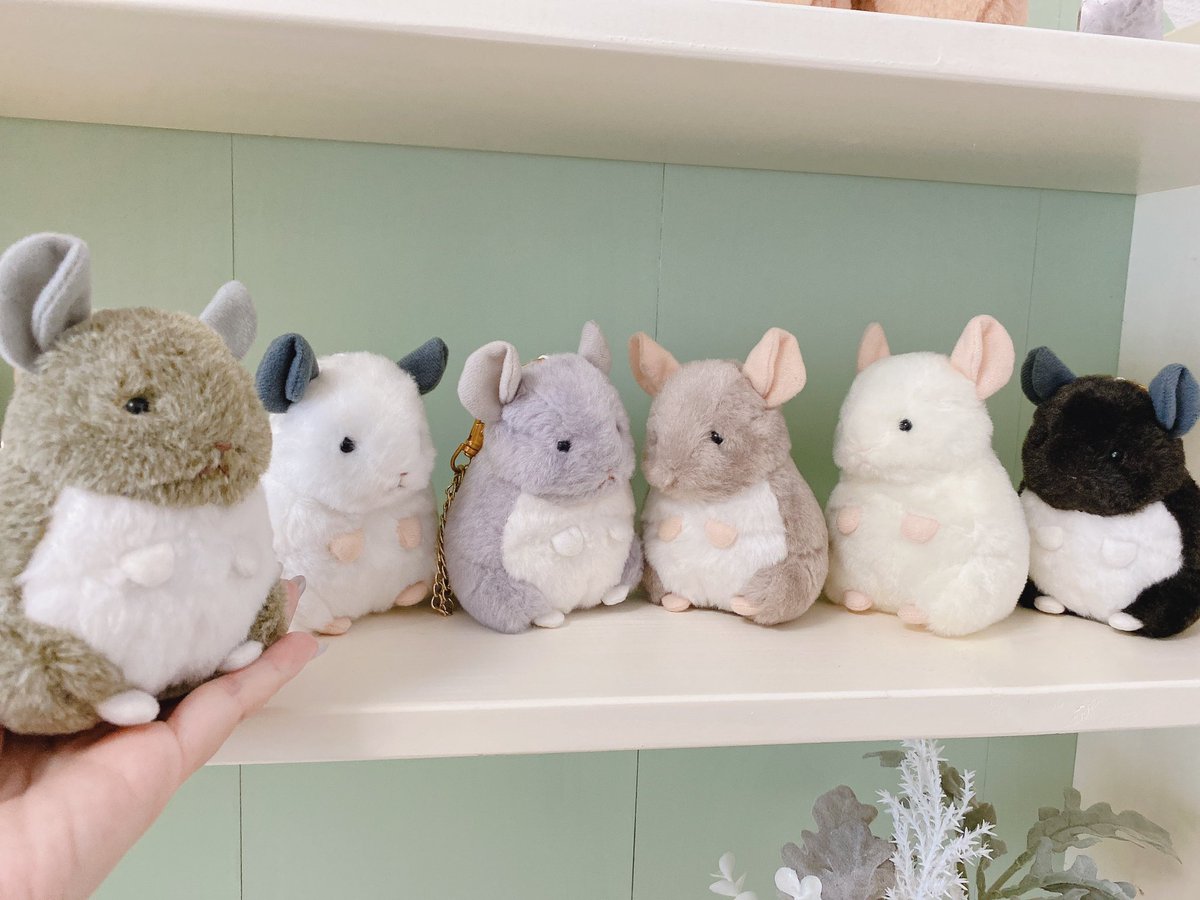 マルククラウン┊︎ﾃﾞｻﾞﾌｪｽE197,198 ┊︎ MarkCrown on X