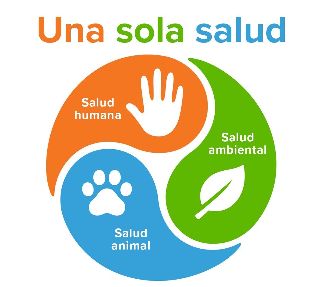 🇨🇺 Más que un paradigma, el concepto de "Una Sola #Salud" es una llamado a la humanidad para preservar por igual la vida de todas las especies en el planeta.
La esencia de ese enfoque, intersectorial y multidisciplinario, es práctica para el Sistema Nacional de Salud.