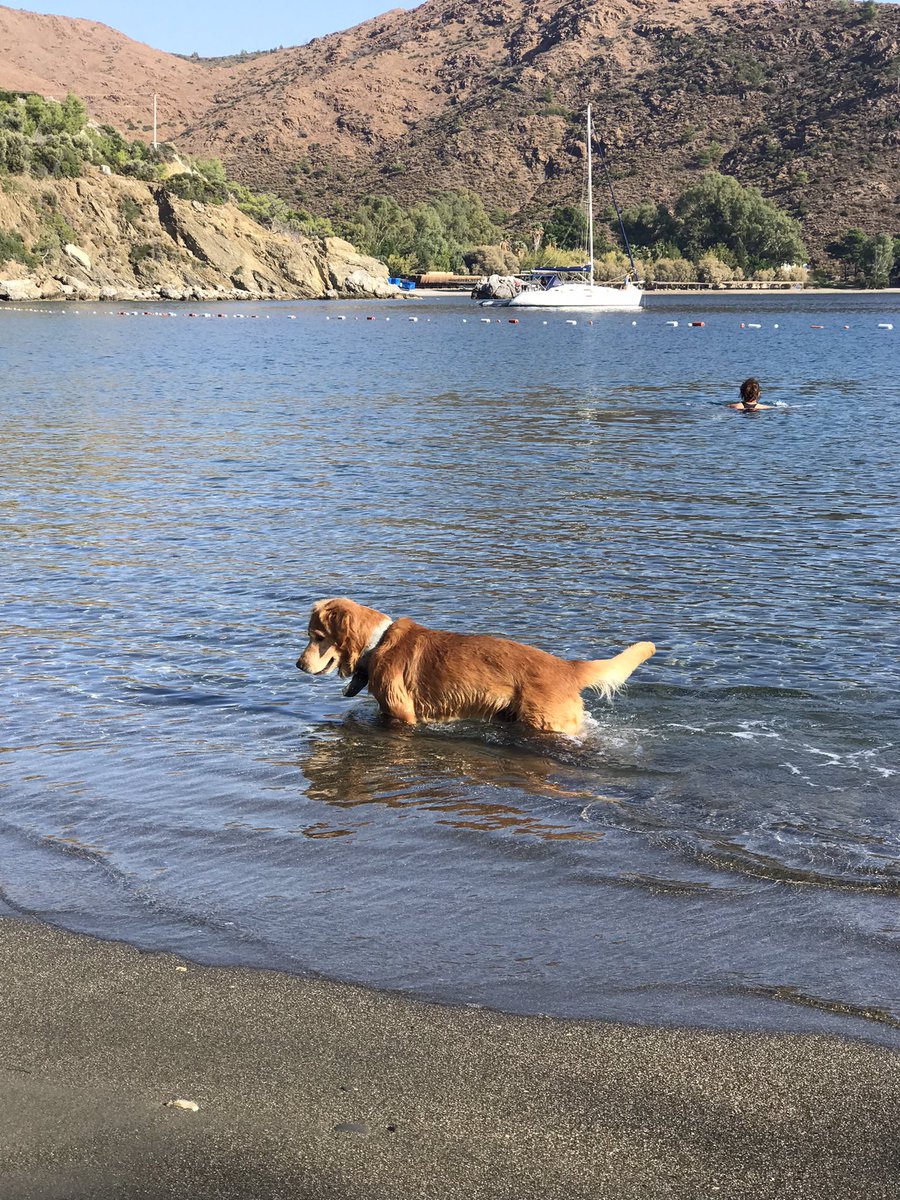 🥰🥰 yüzmeye gelmiş