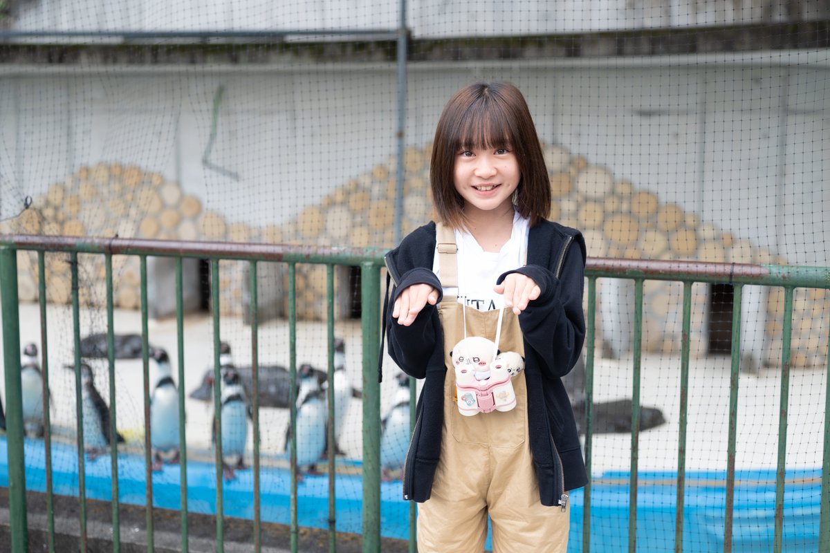 team_aichaso's tweet image. sanaｃ
外出中のペンギンがいました🐧😂
2025.10.19＠桐生が丘公園
#sana
#RocKetsModels