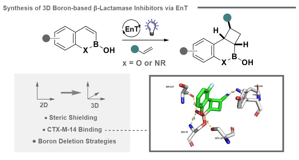Congratulations to <a href="/KortmanHannah/">Hannah Kortman</a> and all other authors for our recent study "Fused 3D Boron Heterocycles via EnT Catalysis: Synthesis, Modification and Validation as Beta-Lactamase Inhibitors" published in <a href="/ChemicalScience/">Chemical Science</a>.
pubs.rsc.org/en/Content/Art…