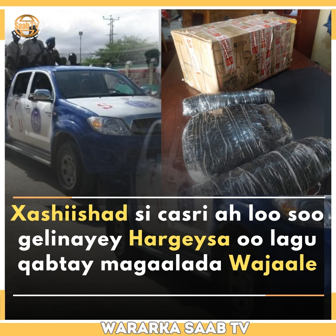 tvsaab's tweet photo. Ciidanka #Booliska Jamhuuriyadda #Somaliland, ayaa maanta magaalada Wajaale ee Gobolka #Gabilay ku qabtay xashiishad badan oo si casri ah loogu soo dhex qariyey kartoon cunto ku jirto.
Xashiishadan lagu qabtay Wajaale oo Ciidanka Boolisku soo bandhigeen, waxa kaloo lagu qabtay eedaysane watay xashiishadaasi oo la sheegay in doonayey in la soo qaado dhinaca caasimadda Hargeysa, waxaana hawlgalka xashiishadaasi lagu qabtay hoggaaminayey Taliyaha Saldhiga #Booliska Wajaale Gaashaanle Dhexe Cabdi Sabanle.
Maaha markii u horaysay ee xashiishad ay qabtaan ciidanka #Boolisku, balse si joogto ah ayey uga hawlgalaan la-dagaalanka xashiishada iyo mukhaadaraadka kala duwan ee la soo geliyo gudaha magaalooyinka Somaliland.