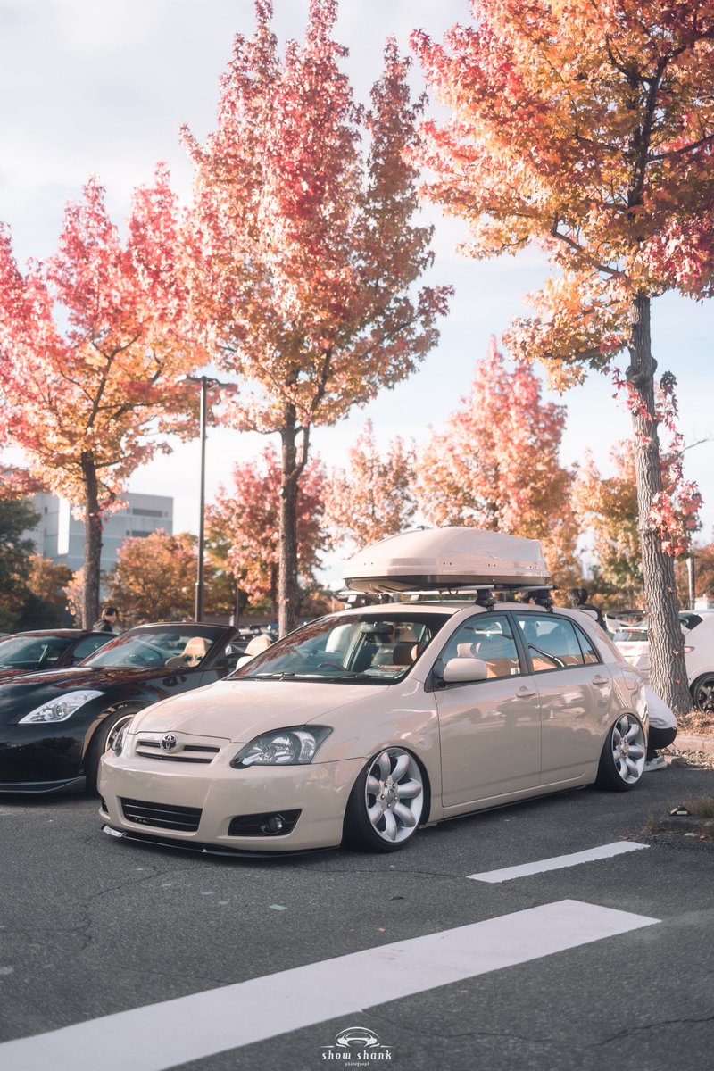 runxta3's tweet image. 雰囲気の良いお写真ありがとうございます✨