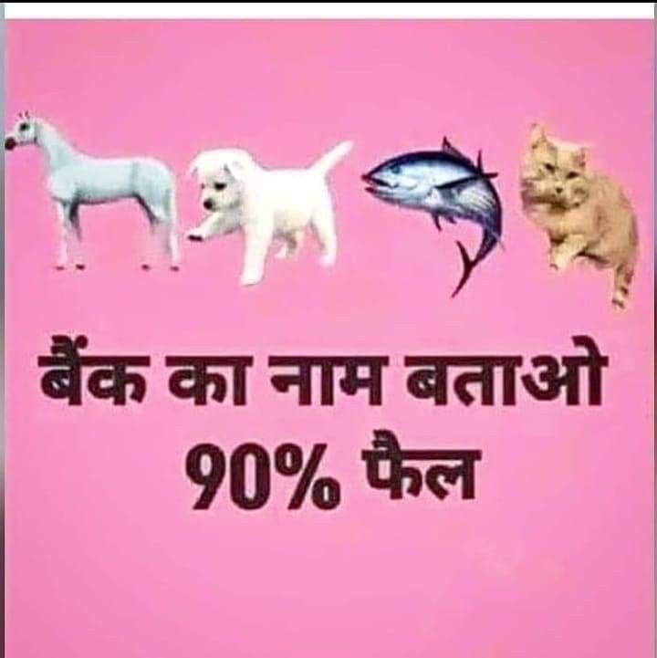 gadariyabiradri's tweet image. 🐴🐶🐟🐱  
बैंक का नाम बताओ — 90% फेल हो जाते हैं!  

Hint: जानवरों के पहले अक्षर जोड़ो 😎  

#RiddleTime #FunQuiz #HDFCBank