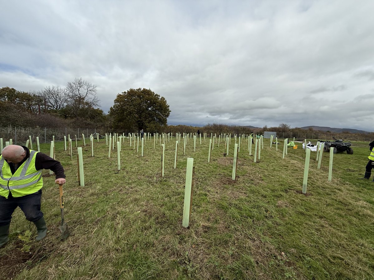 Celtic Financial Planning Ltd | B Corp tweet media