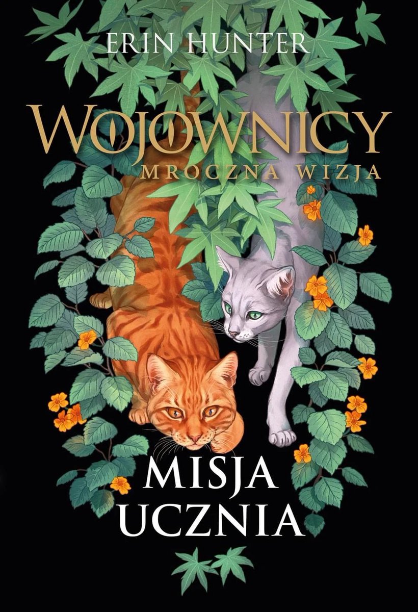 🦊 Miss Dako 🦊 tweet media