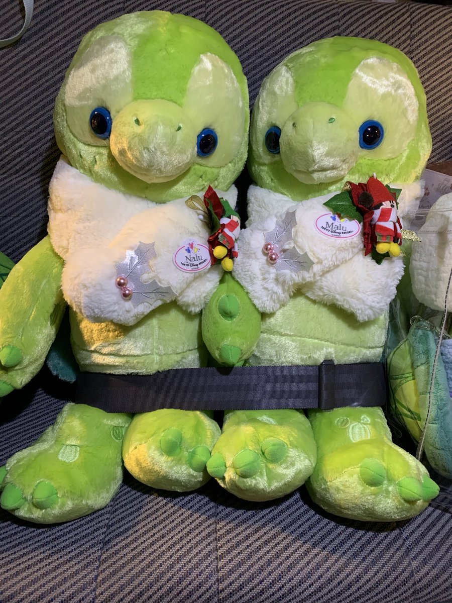 ご一緒させてくださったみなさんありがとうございました😊
🐢🐢「かえりまーす！」