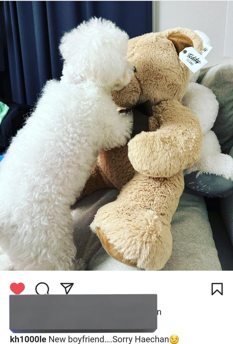 chenleromance's tweet photo. #CHENLE said he's open-minded dad😂😂😂 he's okay with #DAEGAL have boyfriend. but i think chenle is too open-minded bcs he accepts from all races😭
daegal's boyfriend list:
1. noah (cat)
2. teddy bear (doll)
3. haechan (human-male)
4. manager noona (human-female) https://t.co/ROwkNLNrWO