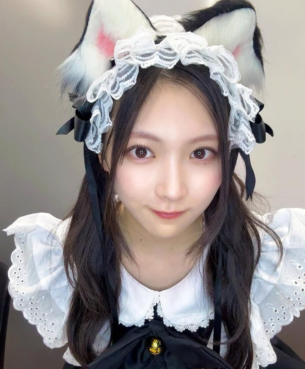 はくとん( 'ω')ŧ‹\