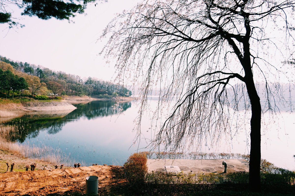 [리버 챌린지 | 청남대편입니당]

안녕하세욤! 리버 10일차 신입 ㅇ ㅏ코입니당 
<a href="/GreenTiramisuu/">그린티🌱</a> 님께 리버 <a href="/RiverdotInc/">River</a> , <a href="/River4fun/">River4FUN 🐝</a> 챌린지를 지목받아
예전에 다녀온 **청주 청남대**를 소개하고자 합니당!

청남대는 원래 대통령 별장이었는데,
지금은 모두에게 개방된 곳이죵 🏛️

저는 봄에