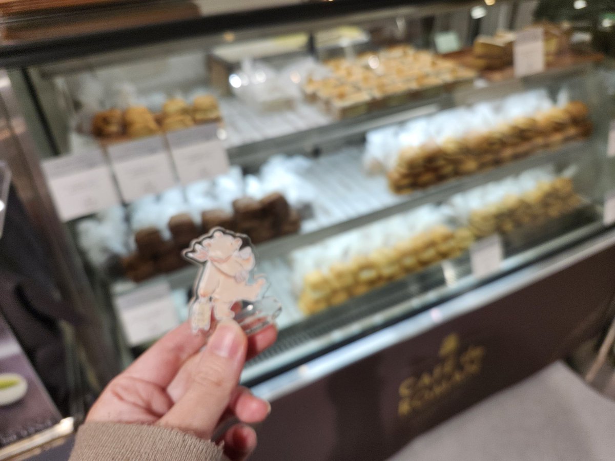 いろは (@sai_coordinate) / Posts / X